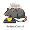 rodent control Handyman Service UAE